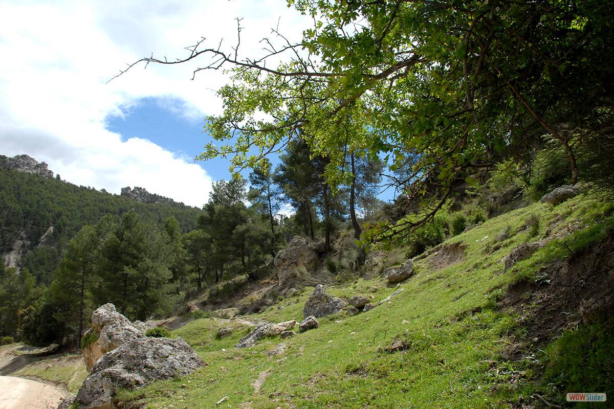 RÍO CASTRIL. Parque Natural de la Sierra de Castril. Foto: J. E. GÓMEZ Y MERCHE S. CALLE